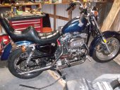 1983 Harley-Davidson XLH 1000 Sportster photo
